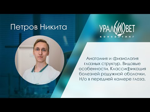 Анатомия, физиология глазных структур. Видовые особенности. Болезни радужной оболочки. Петров Никита