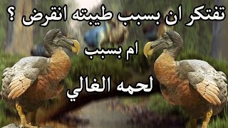 العالم  تأثر بهذا الحيوان حتي انت /  طائر الدودو الذ لحم في العالم / هل طائر الدودو مازال موجود ؟!