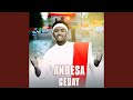 Anbesa Geday