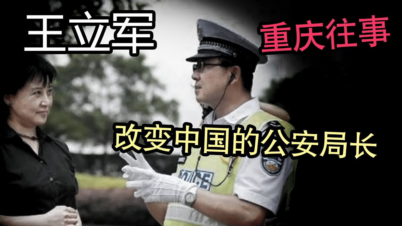 步步惊心的卧底之旅