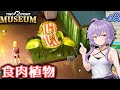【ツーポイントミュージアム】ゆかりの何でも展示する謎の博物館作り #8【ボイロ実況】