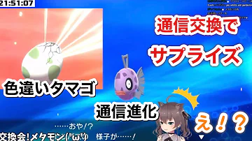 ホロポケカップ第2回 ホロポケカップ第2回