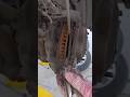 land cruiser front brake service install new brake pads #automotive #nechanic #shortsfeed #carparts