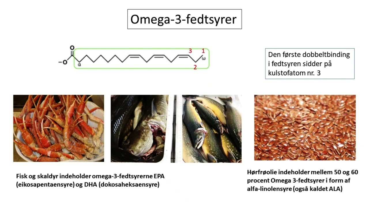 Fedtstoffer dansk udgave