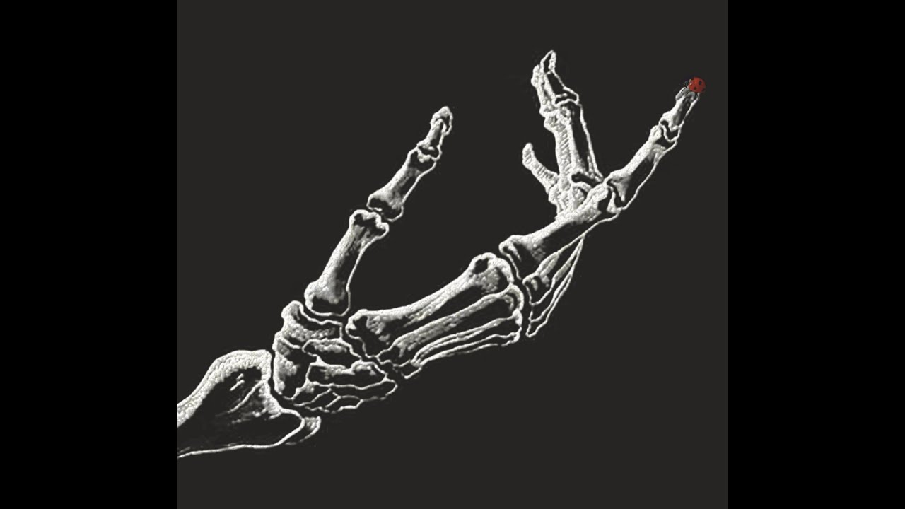 Берта бертрудова в проекте голос