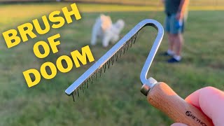 Is This The Brush Of Doom? by Yeti’s Place 1,696 views 1 year ago 2 minutes, 10 seconds