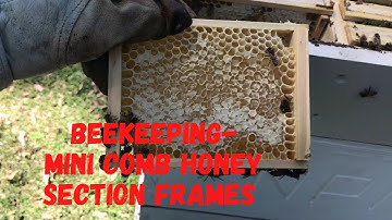 Beekeeping - MinI Comb Honey Section Frames @ Les Gold
