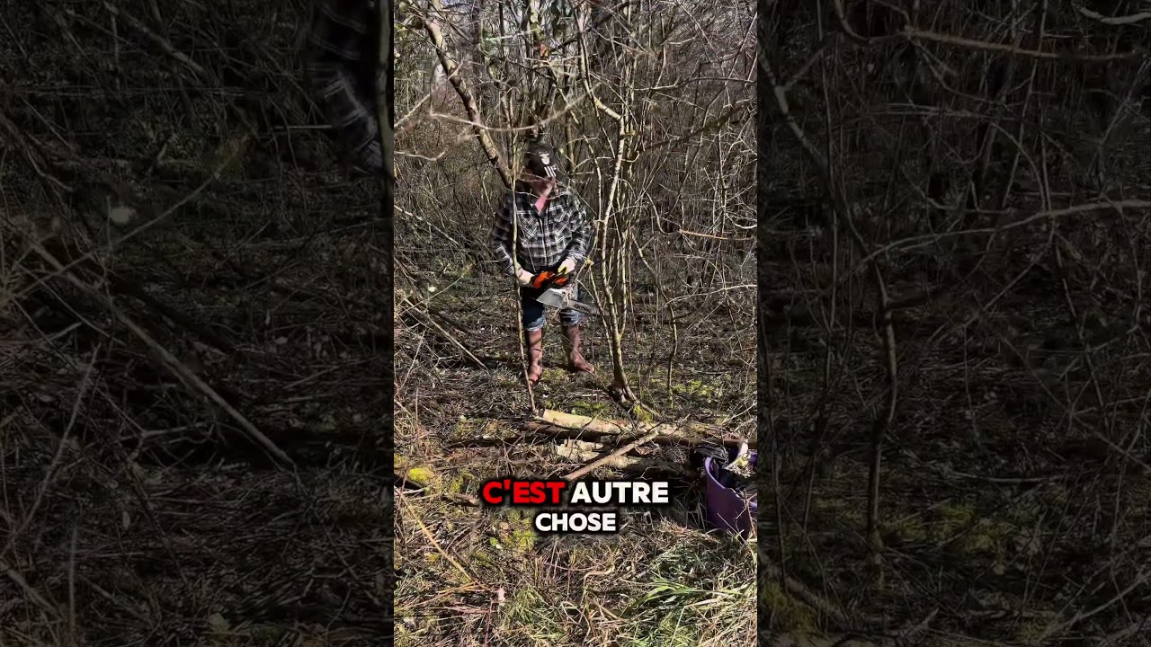 Je redécouvre une petite mare partagée avec mon voisin au fond de ma parcelle en friche de Cuisery