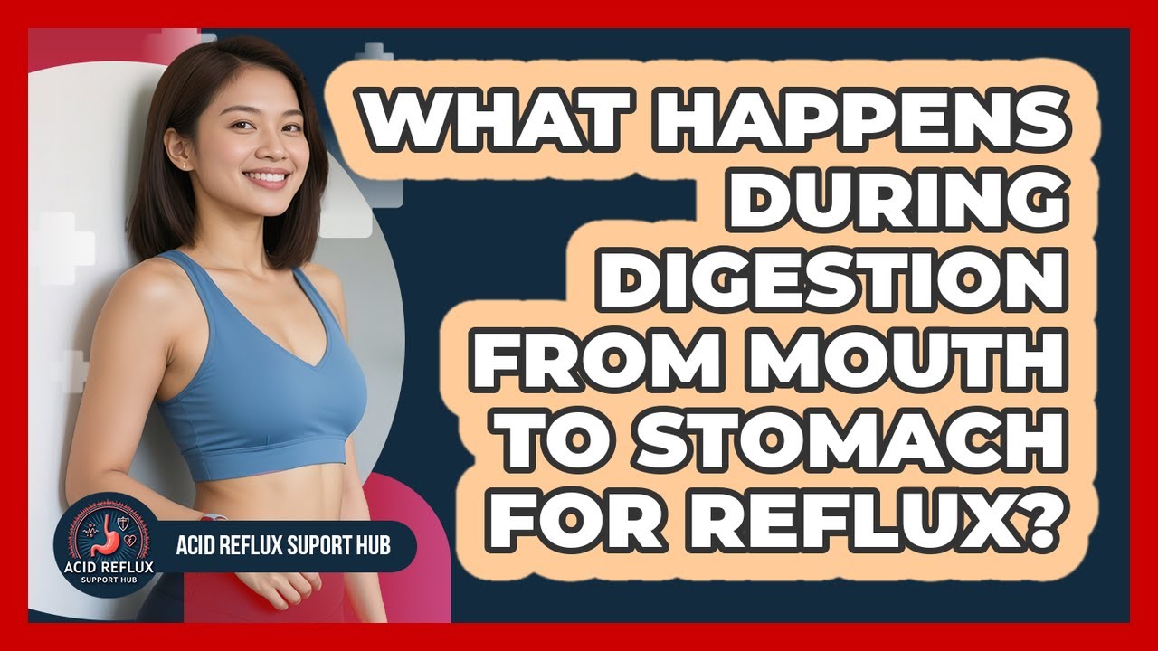 What Happens During Digestion From Mouth To Stomach For Reflux? - Acid Reflux Support Hub