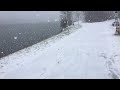 Доброе утро,а у нас сегодня снег идёт☃️❄️🌨 16.01.21