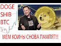 ПАМП КРИПТЫ BTC DOGE SHIB