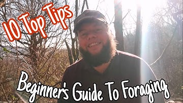 How & What To know To Start  Foraging For Wild Edibles - The Beginners Guide To Foraging 🌱