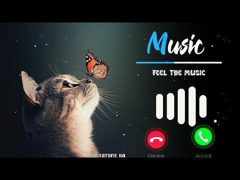 Message Ringtone | Notification Ringtone | Message Tone | Sms Ringtone | Funny Ringtone #ringtone