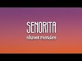Shawn Mendes, Camila Cabello – Señorita (Lyrics)