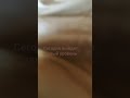 тру-ля-ля