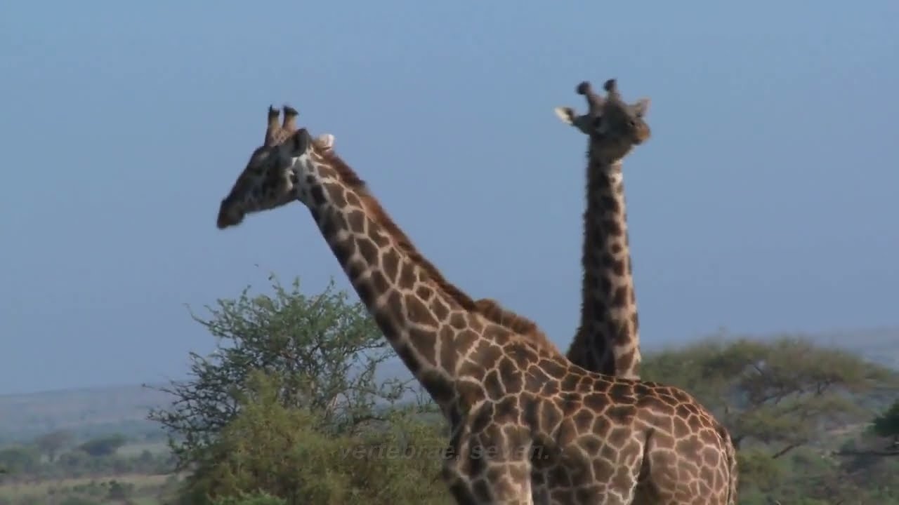 10 weird facts you should know.