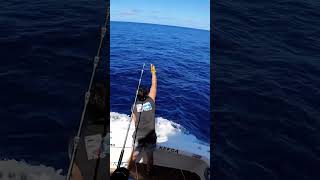 BLACK MARLIN ON THE WIRE