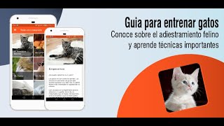App guia para entrenar gatos screenshot 3