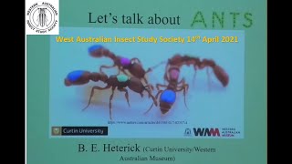 Brian E Heterick - Let's Talk About Ants by Western Australian Insect Study Society 37 views 3 years ago 1 hour, 3 minutes