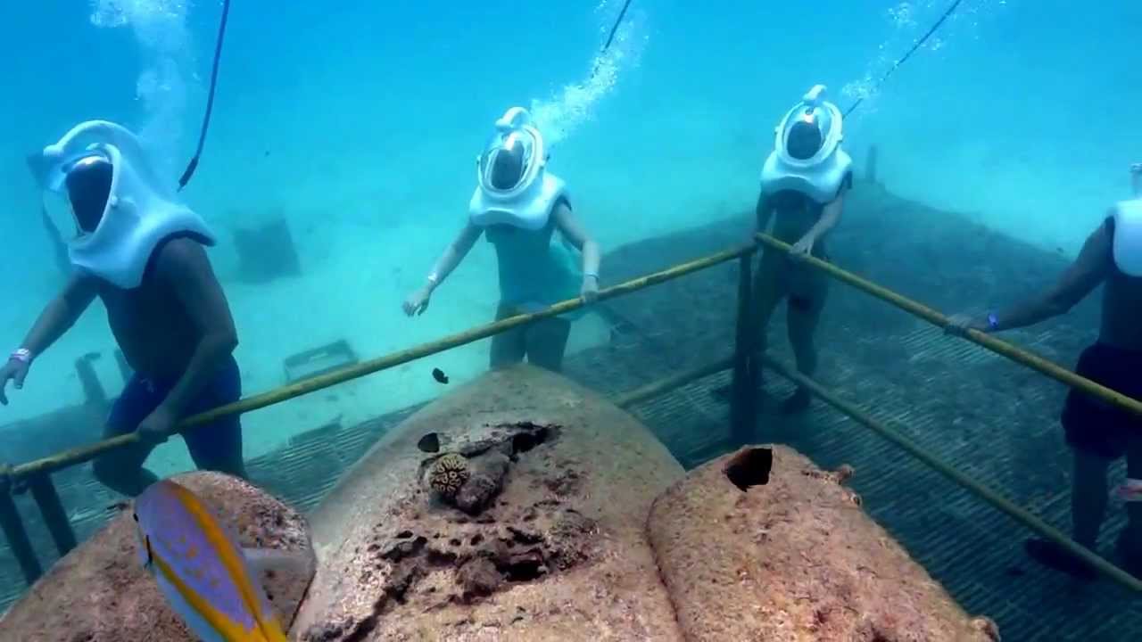 underwater sea trek in aruba