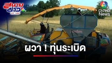 ผวา ! ไม่รับงาน แม้ค่าเกี่ยวข้าวชายแดนพุ่งไร่ละ 1,500 บาท | สนามข่าวเสาร์-อาทิตย์