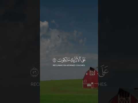 قرآن كريم اعرف واتعلم صح
