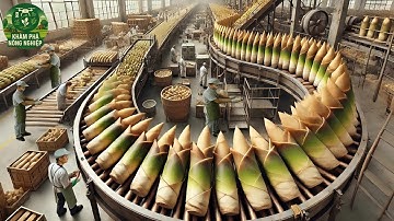 Nông Dân Trung Quốc Thu Hoạch 1 Tấn Măng Chỉ Trong 45 Phút – Quy Trình Khiến Cả Thế Giới Kinh Ngạc!