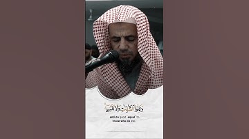 ما تيسر من سورة غافر بصوت قارئ ابو بكر الشاطري (٢٠٢٣م)