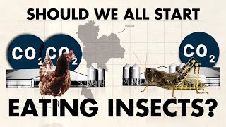 The Argument for Eating Insects (Instead of Going Vegan)