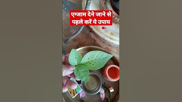 Exam देने जाने से पहले एक बेलपत्र शिव जी को अवश्य चढ़ाएं 🙏 #mahadevstatus#shortsfeed #shorts