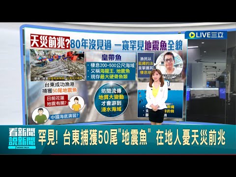 是要有大地震了嗎...台東捕獲50尾"地震魚" 在地人憂天災前兆 考驗漁民放繩功力 "延繩釣"流程揭密│主播 林容安│【LIVE大現場】20230412│三立新聞台