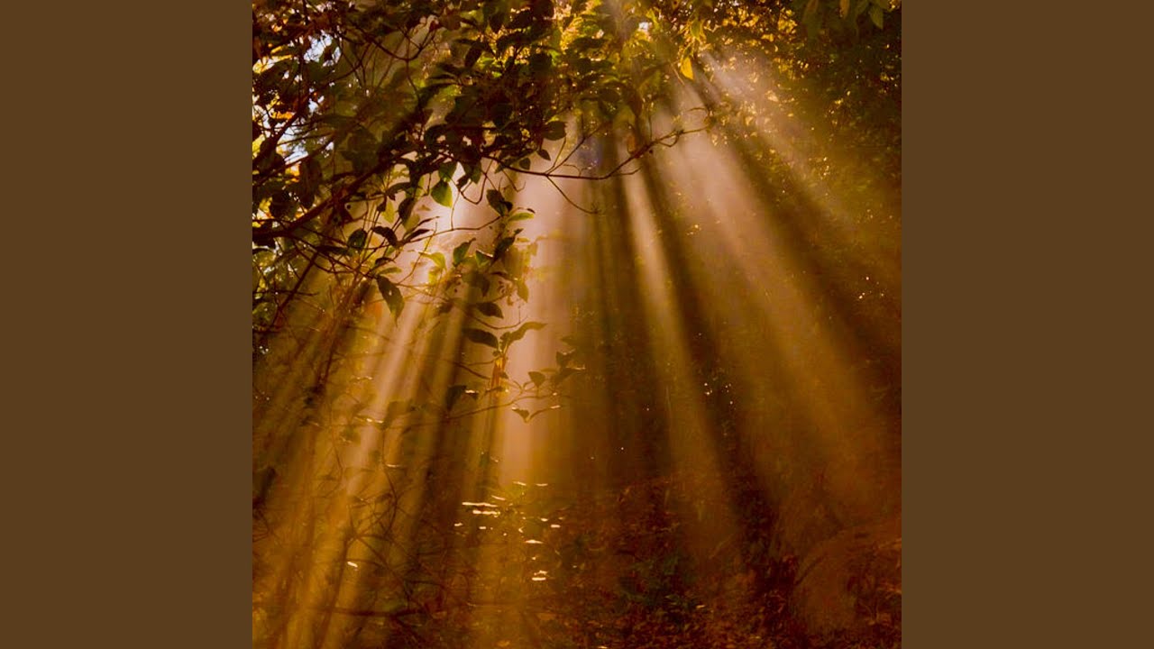 Watch Delicate (Rain) on YouTube Watch Delicate (Rain) on YouTube