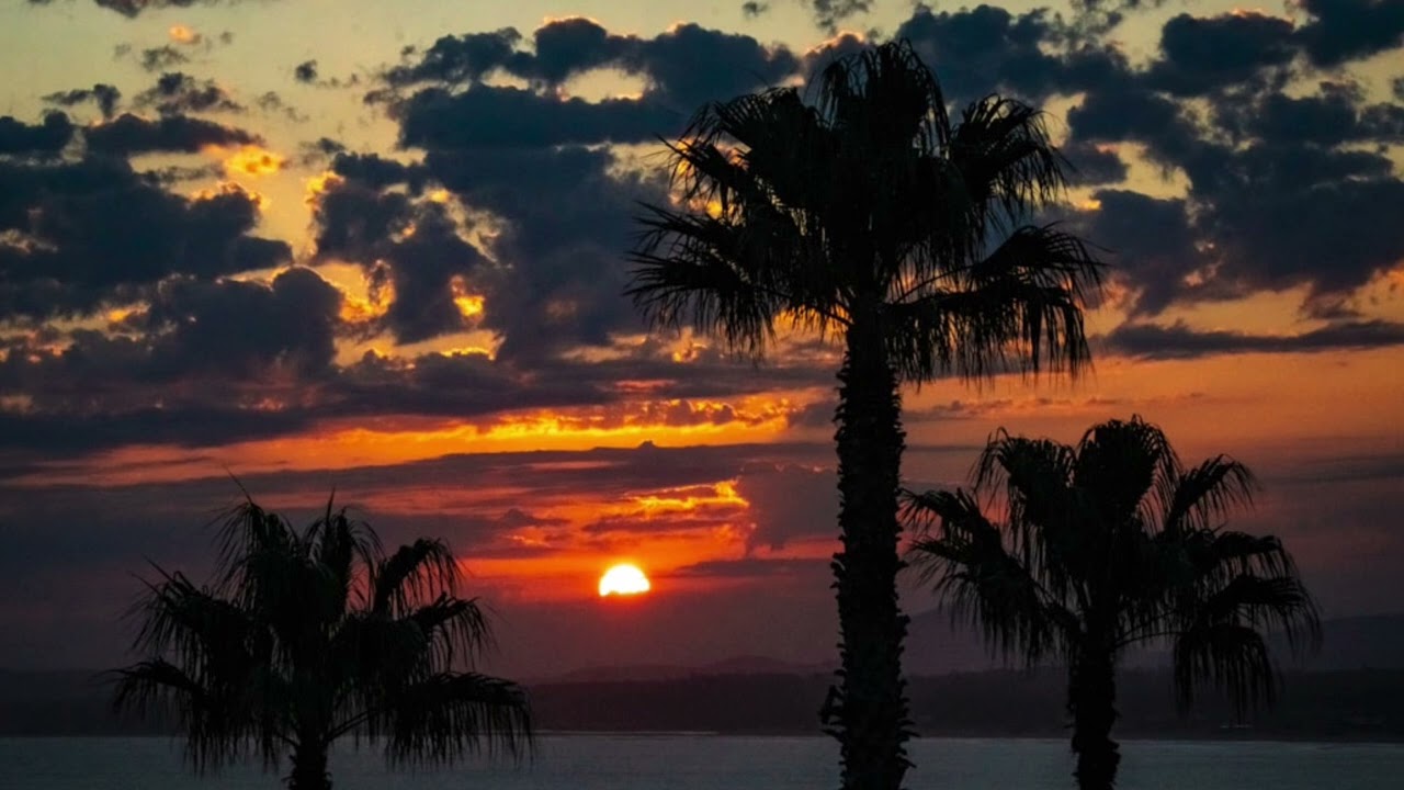 Damian Marley Reggae Roots Instrumental Type Beat [Moonlight riddim] 2024