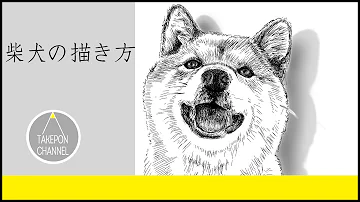 リアルな犬の描き方簡単