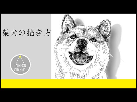 動物の描き方 柴犬のリアルなイラストが誰でも簡単に上手くなる方法 Howtodrawshibainu Youtube