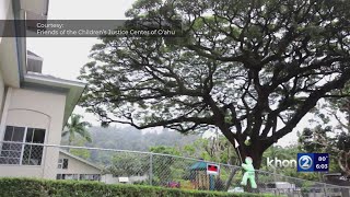 Hawaii child abuse case numbers increase, reaching closer to pre-pandemic numbers