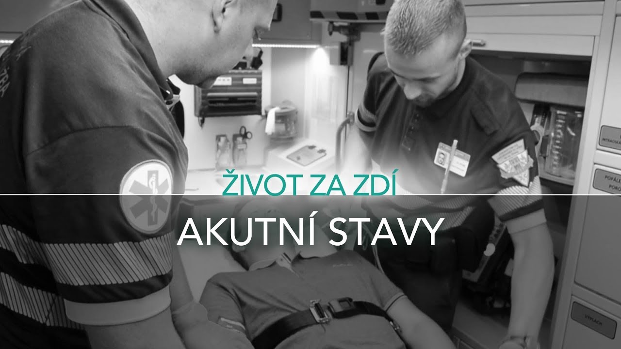 12. DÍL: AKUTNÍ STAVY (PRŮBĚH TĚŽKÉ DEPRESE A PANICKÉ ATAKY)