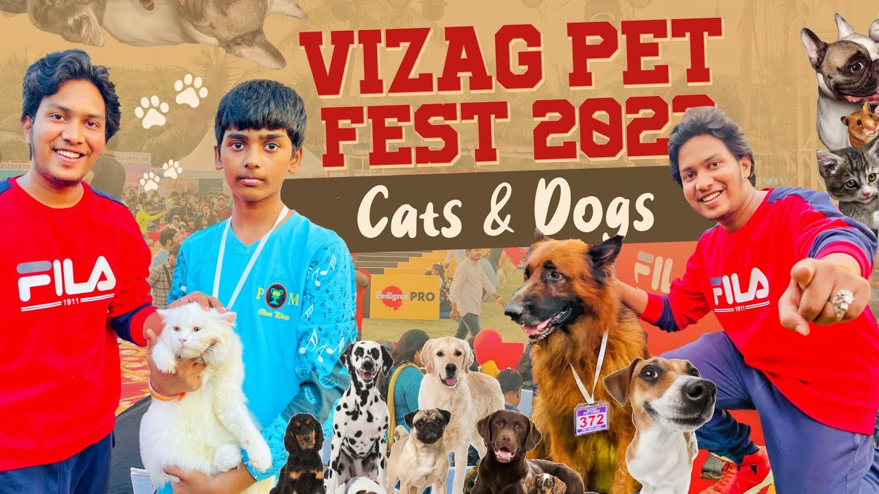 Vizag Pet fest2023Cats&Dogs🐱🐶🎊🏆 YouTube