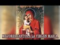 Hermosa Canciones De Alabanza A Nuestra Madre Santísima  - Mejores Cantos A La Virgen Maria