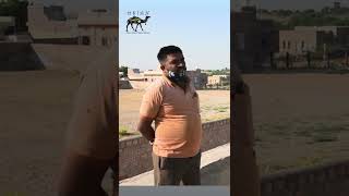 The Kurja Man Of Khichan - Sevaram Mali Parihar Bird Men Of Khichan About Khichan Bird Sanctuary