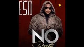 Esii - No regrets (audio music)
