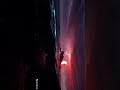 🌍🌿Earth Without Human Life | Fantasy | AI | #shorts #shortsvideo #fantasy