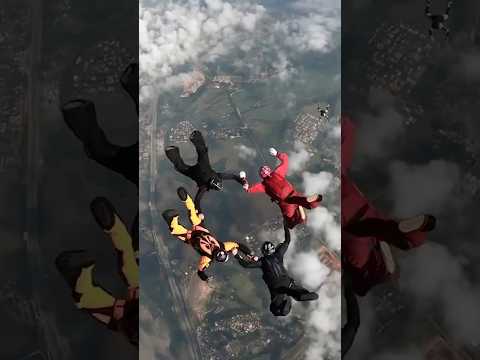 Donki Drop | Dive into Madness
