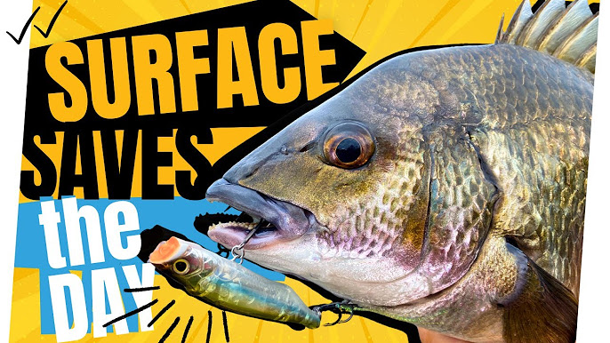 HOW TO: Catch Bream On Lures — Soft & Hard 
