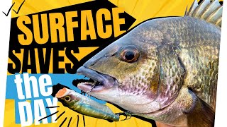 GAME CHANGING Topwater TACTICS To Reverse Your Fishing Fortunes On Flathead & Bream!