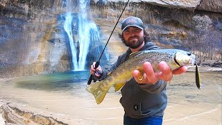 Trout Catch & Cook at a DESERT Waterfall