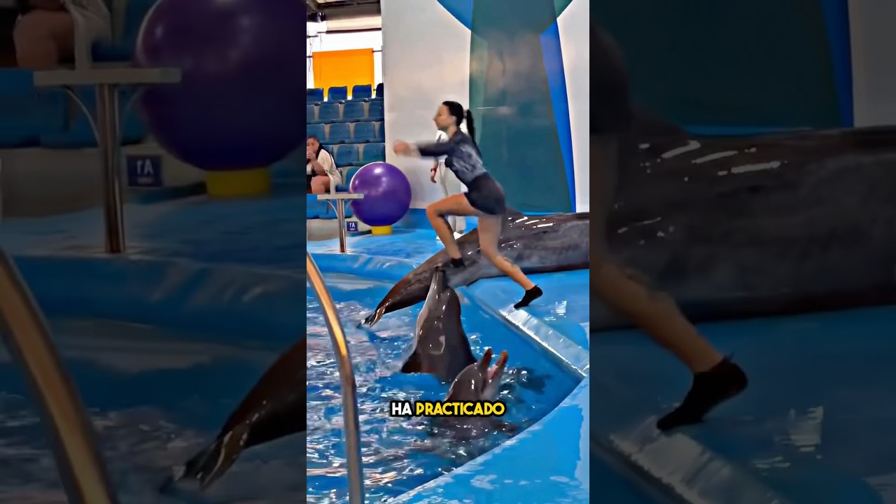 Jab Delfín engañame Hui Gadbad  ( 🎥_@umer2m )