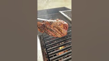 Thumbnail of Usar ou não lenha pra dar aquele gostinho na carne?? #shorts #churrasco #defumação