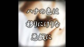 4434times ハナイロ・・2025年07月19日