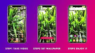 Video Wallpaper - Set your video as Live Wallpaper